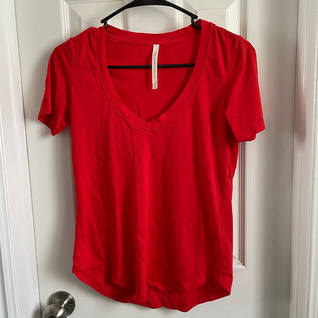 The Group Babaton V-Neck Shirt